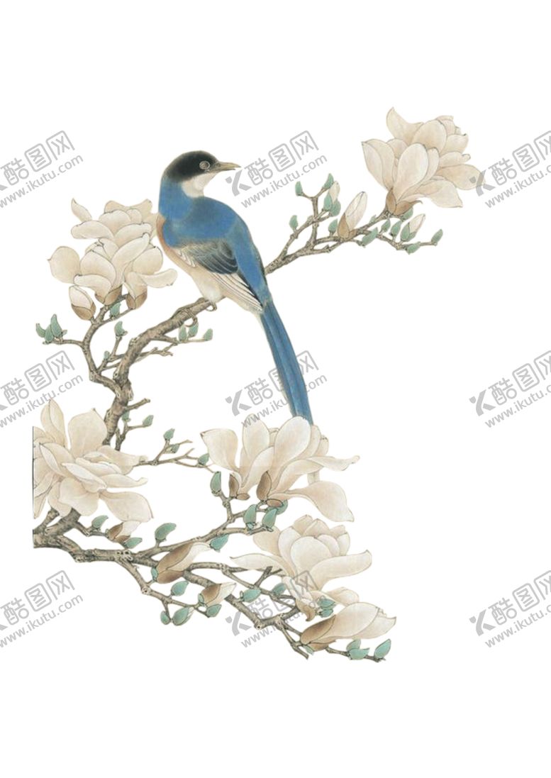 编号：44171406251943394534【酷图网】源文件下载-花鸟