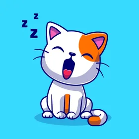 卡通猫