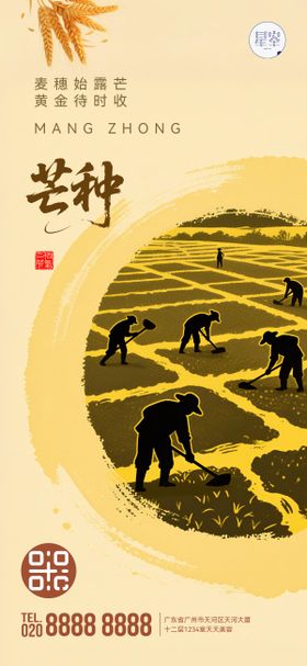 芒种丰收二十四节气麦田