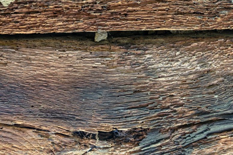 编号：71878505141708489222【酷图网】源文件下载-木板