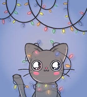 可爱猫咪