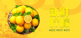 创意新鲜水果 矢量素材 柠檬 