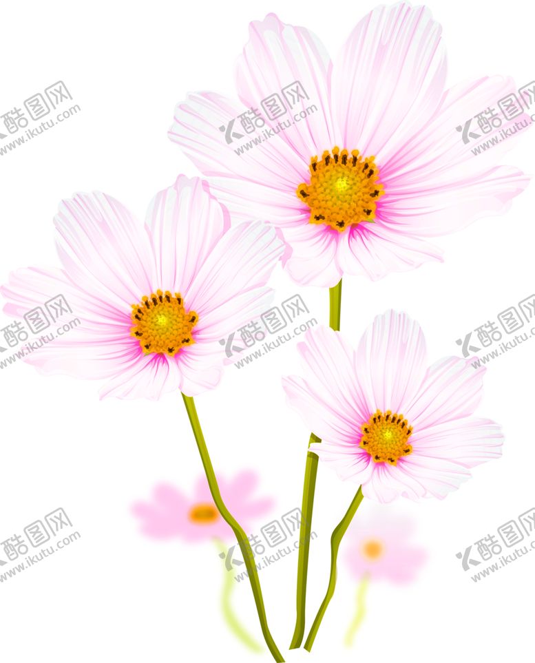 编号：16863510262242173139【酷图网】源文件下载-鲜花装饰