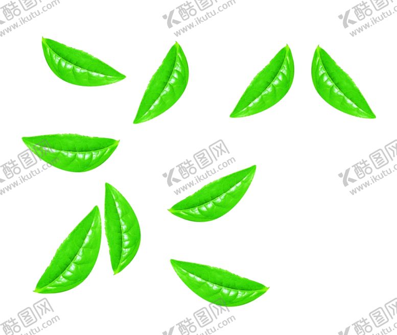 编号：75491105112230214893【酷图网】源文件下载-竹子甘蔗绿叶竹叶分层