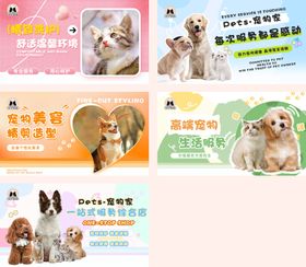 宠物banner