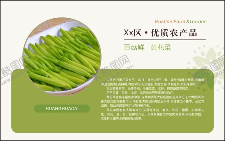 编号：86668501201244469165【酷图网】源文件下载-黄花菜绿色蔬菜