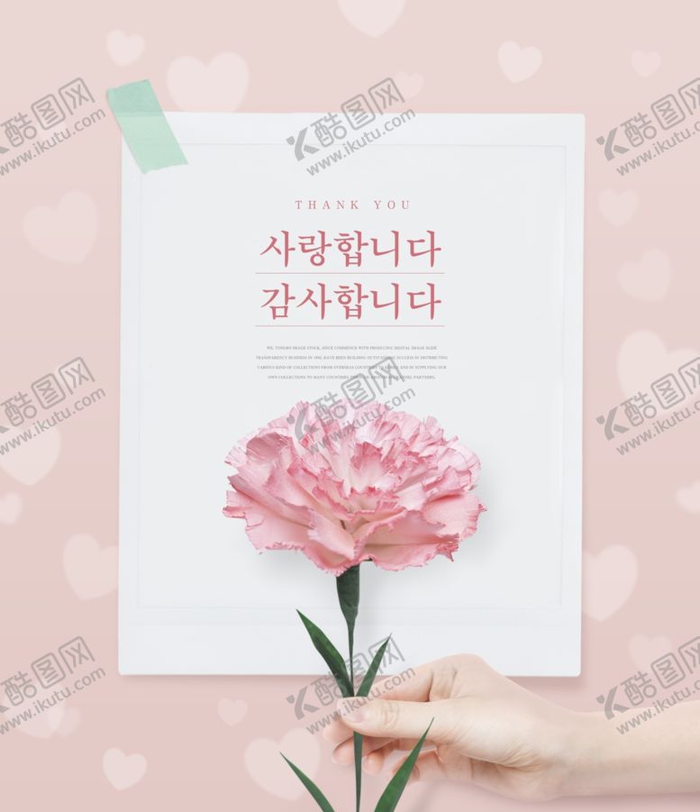 编号：95550509200651165687【酷图网】源文件下载-康乃馨