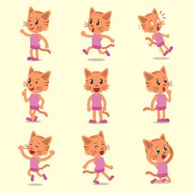 可爱小猫