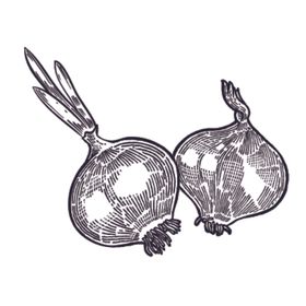 插画食物元素