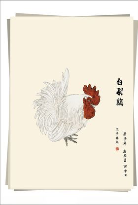 白羽鸡水墨画