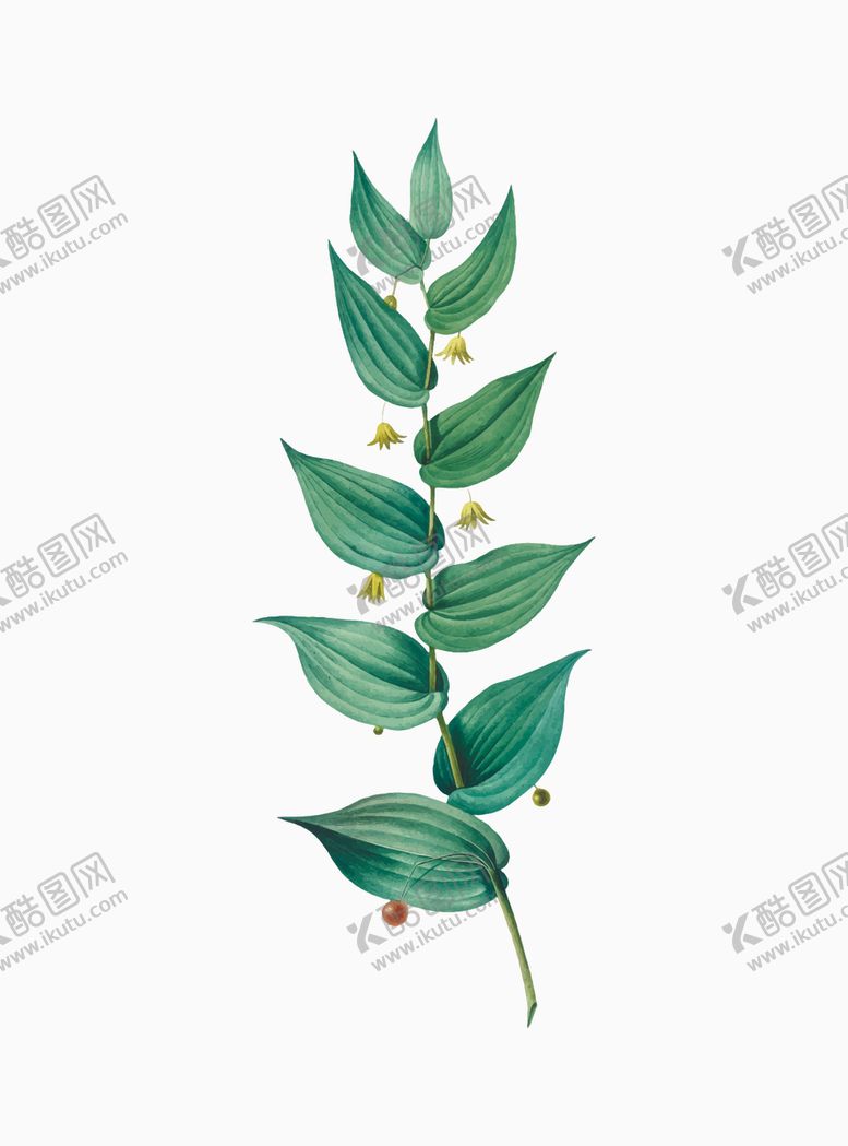 编号：24256310202225195843【酷图网】源文件下载-叶子