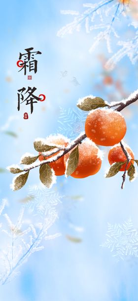 霜降水珠冬天雪
