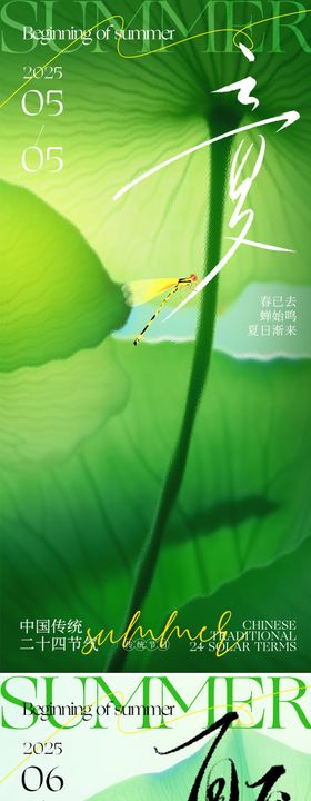 立夏夏至节气海报荷花荷叶质感创意