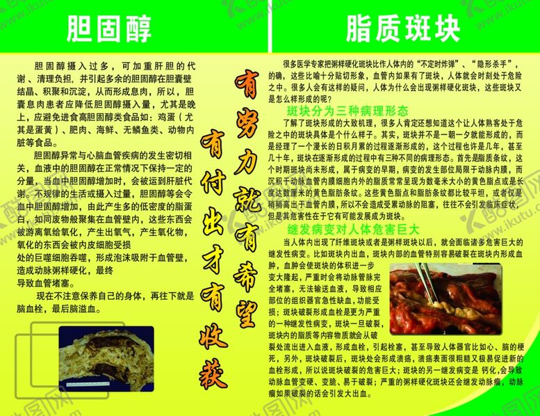 编号：95217907040932022554【酷图网】源文件下载-胆固醇