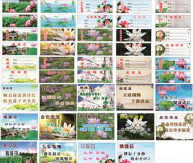 莲花背景
