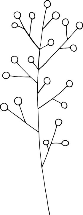 秘密花园空白儿童元素手绘
