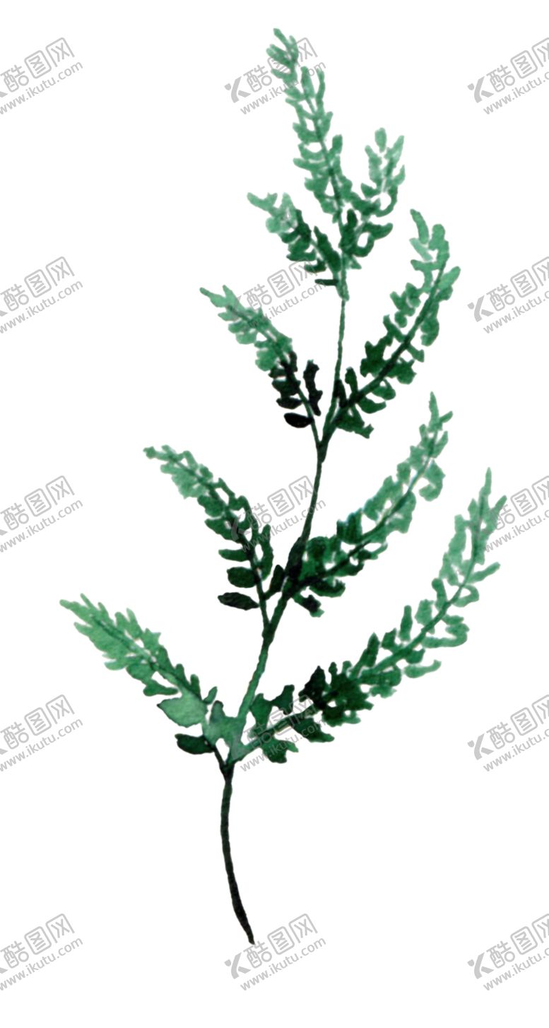 编号：49624801150131128120【酷图网】源文件下载-水彩植物