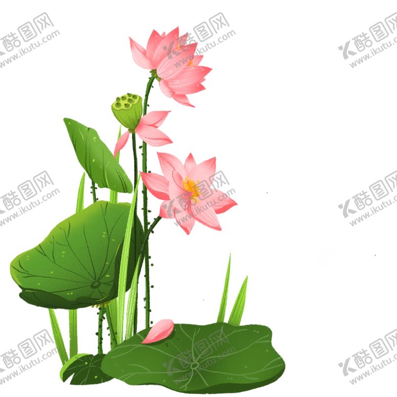 编号：98595901190216089149【酷图网】源文件下载-荷花素材