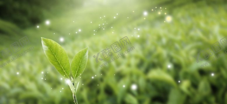 编号：42582409090256256474【酷图网】源文件下载-海报背景