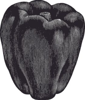 素描手绘蔬菜
