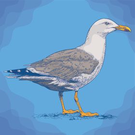 动物油画