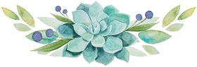 水彩植物