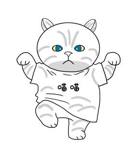 卡通猫