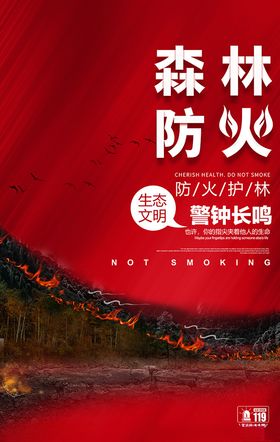 红色简约森林防火海报