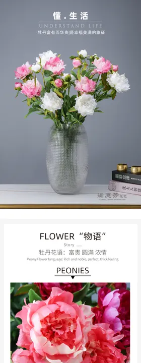 牡丹花详情页