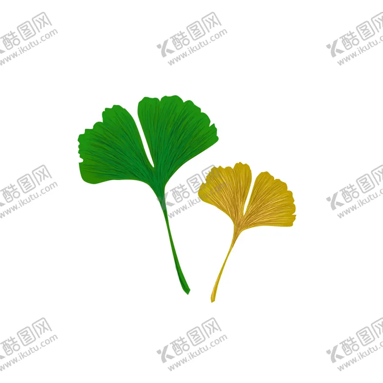 编号：45542804131301303004【酷图网】源文件下载-秋天银杏叶