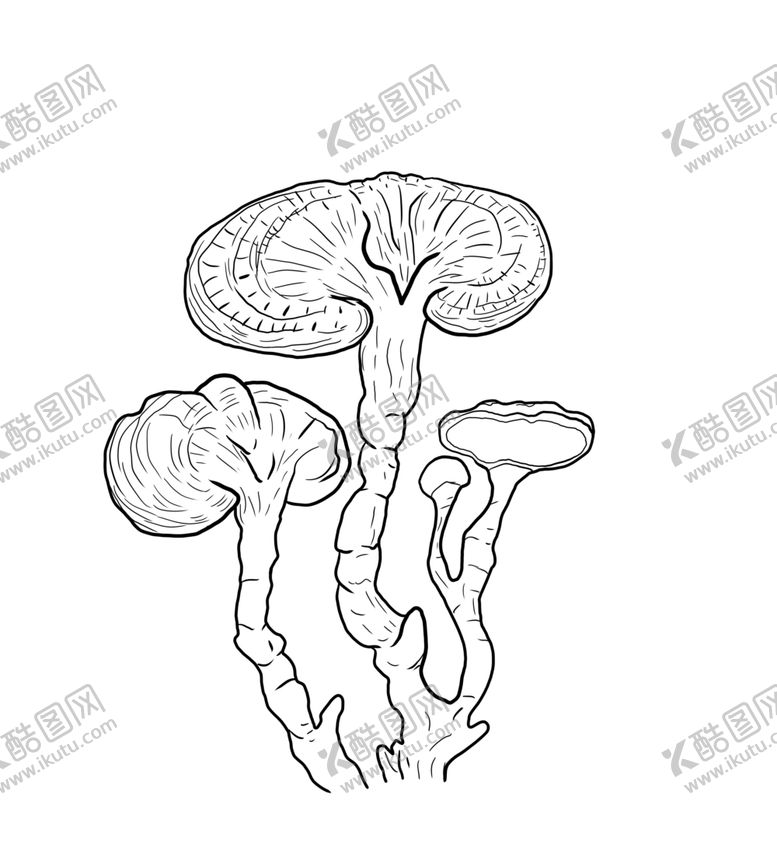 编号：97078806300806161389【酷图网】源文件下载-灵芝