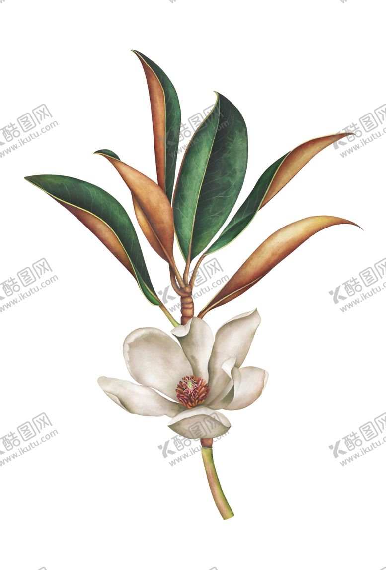 编号：91223302130401079038【酷图网】源文件下载-定位花