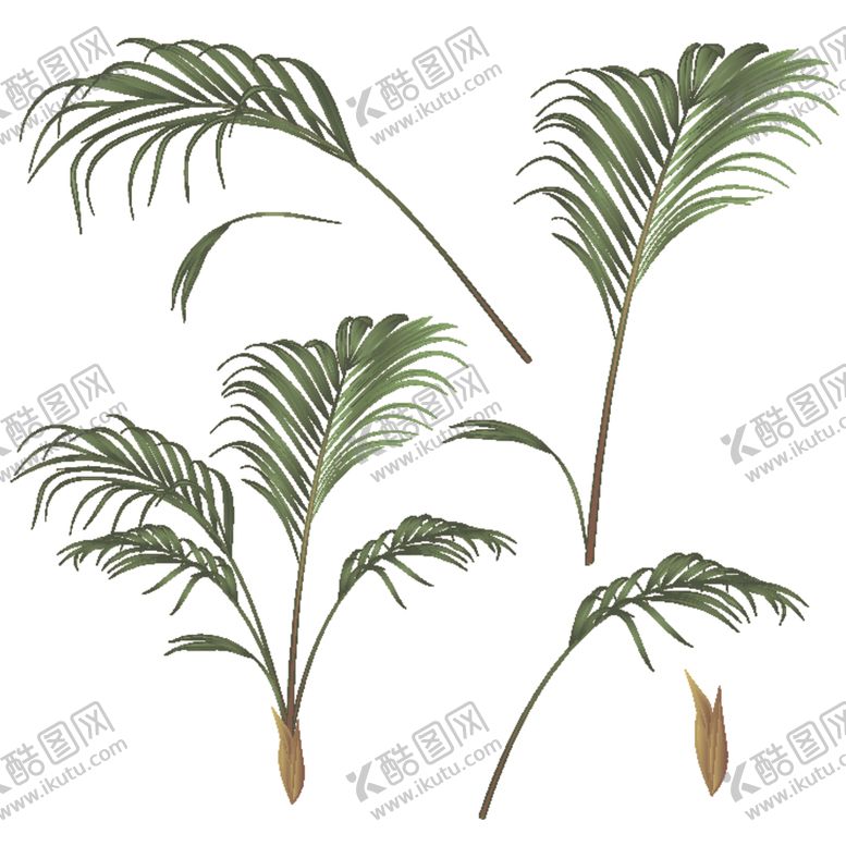 编号：26434909282106023321【酷图网】源文件下载-手绘叶子