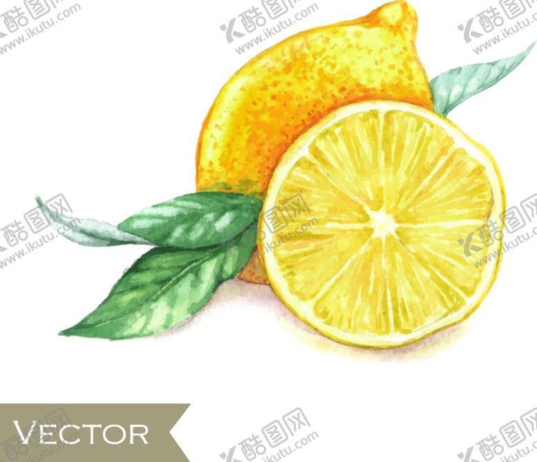 编号：53514207061034015507【酷图网】源文件下载-黄柠檬柠檬进口柠檬新鲜