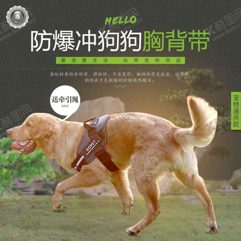 编号：43411711010627596328【酷图网】源文件下载-宠物用品主图