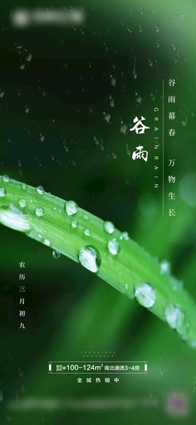 谷雨节气