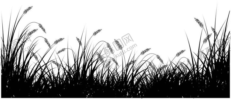 编号：43601312051320317757【酷图网】源文件下载-芦苇草丛剪影
