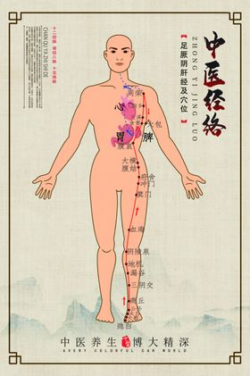 中医经络示意展板