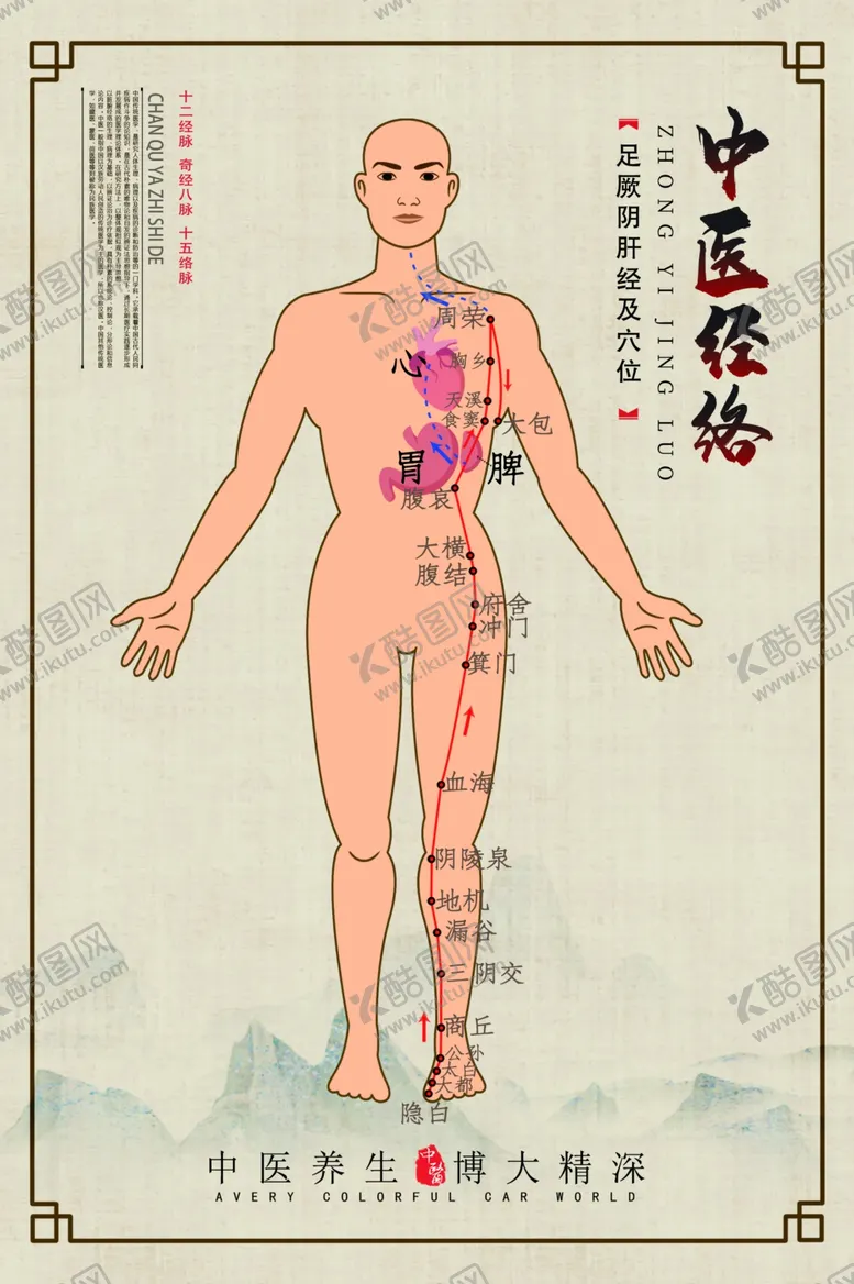 编号：19453106170600594108【酷图网】源文件下载-中医经络示意展板