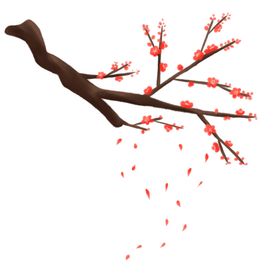 分层梅花