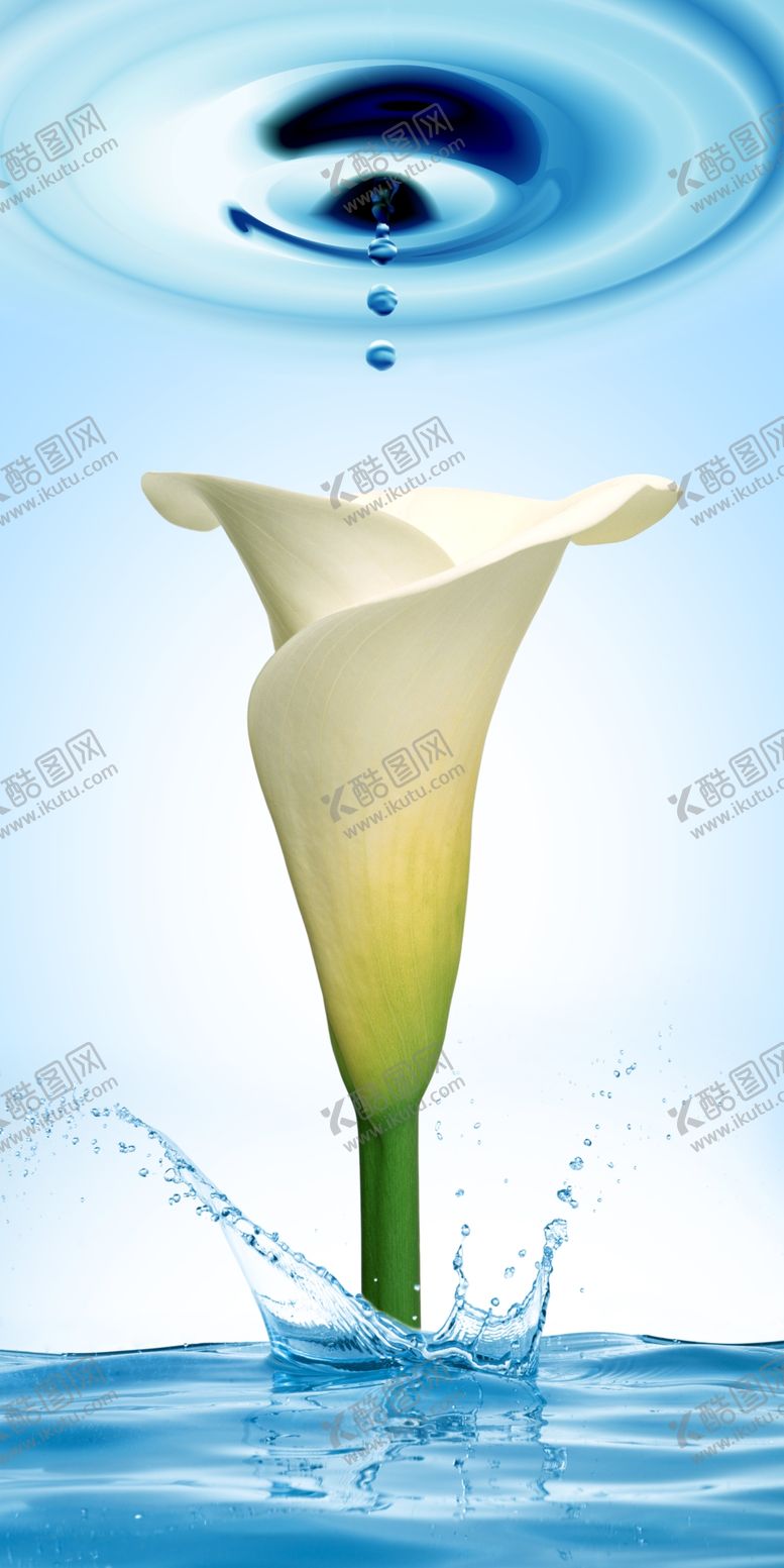 编号：81465904281802164086【酷图网】源文件下载-郁金香玄关画