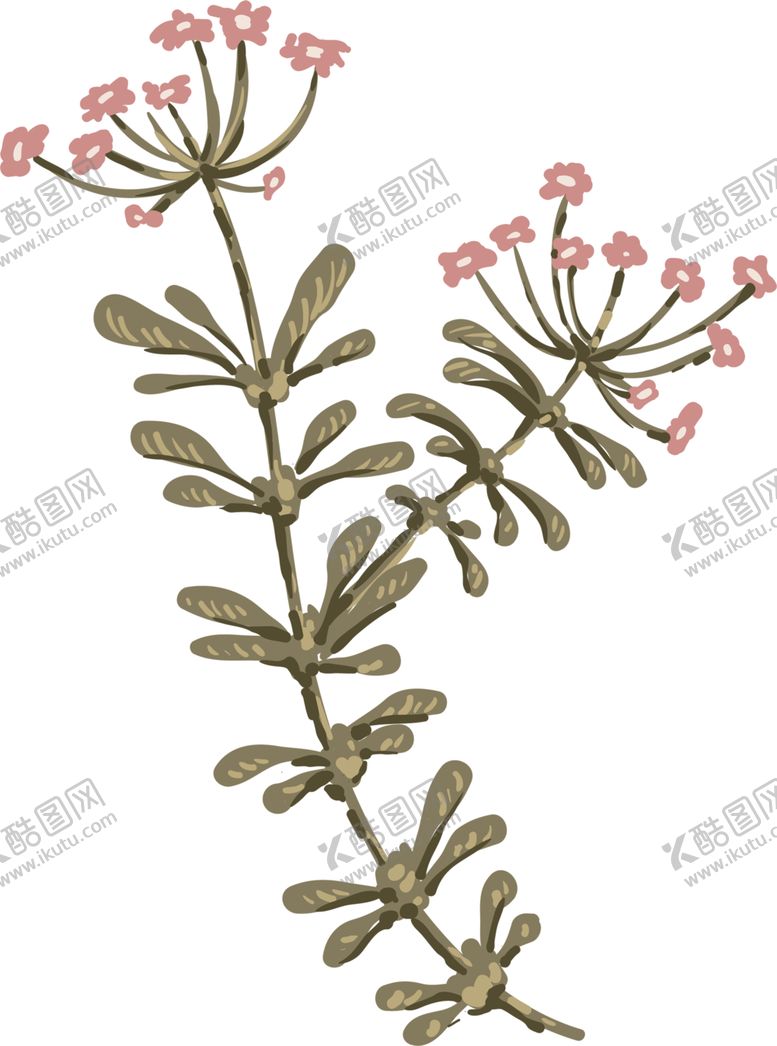 编号：29101306161026572007【酷图网】源文件下载-鲜花素材