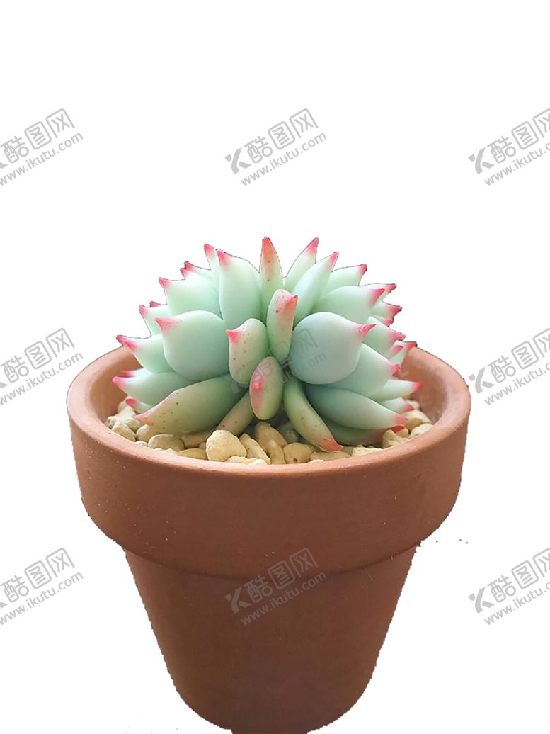 编号：45948211011540088392【酷图网】源文件下载-绿色植物