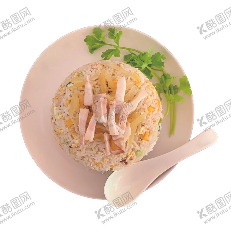 编号：14400510210148293972【酷图网】源文件下载-咸菜肉炒饭