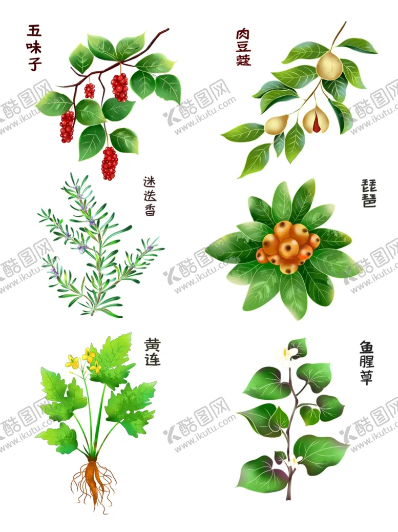 编号：78617704210001223643【酷图网】源文件下载-中药植物