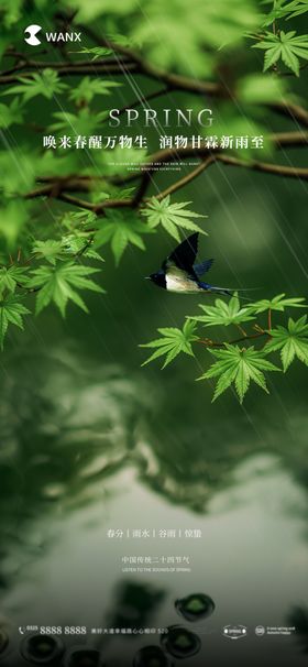 春分雨水谷雨惊蛰节气海报