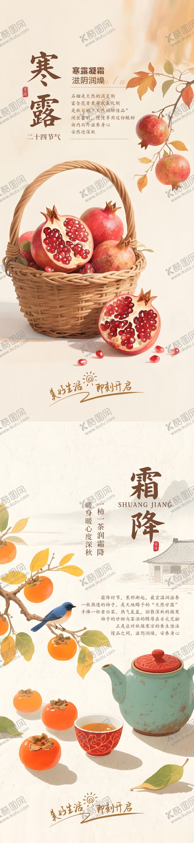 编号：72170311281217528832【酷图网】源文件下载-寒露节气海报