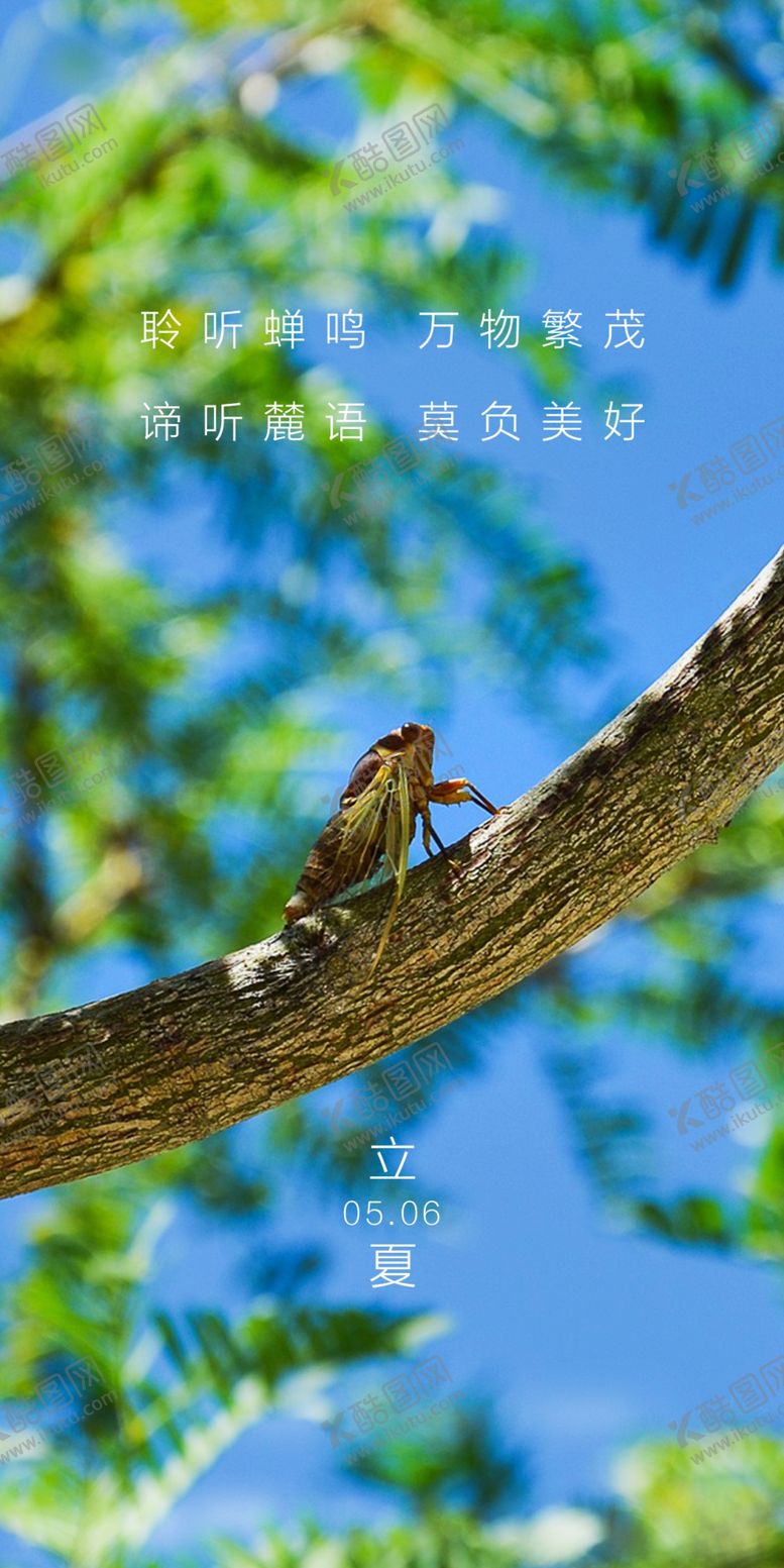 编号：19864810210259376641【酷图网】源文件下载-立夏