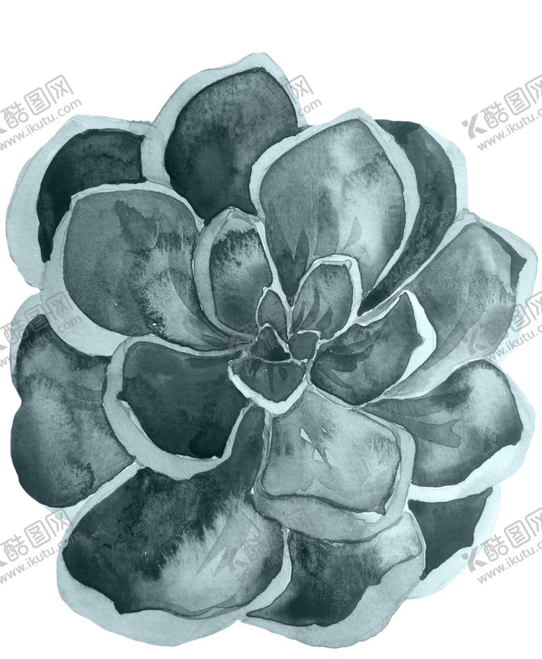 编号：29544109281920526183【酷图网】源文件下载-水彩植物花朵装饰