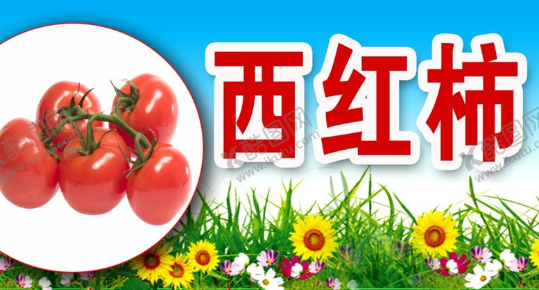 编号：30033606300827208048【酷图网】源文件下载-西红柿